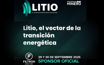Seminario Litio: El vector de la transición energética.